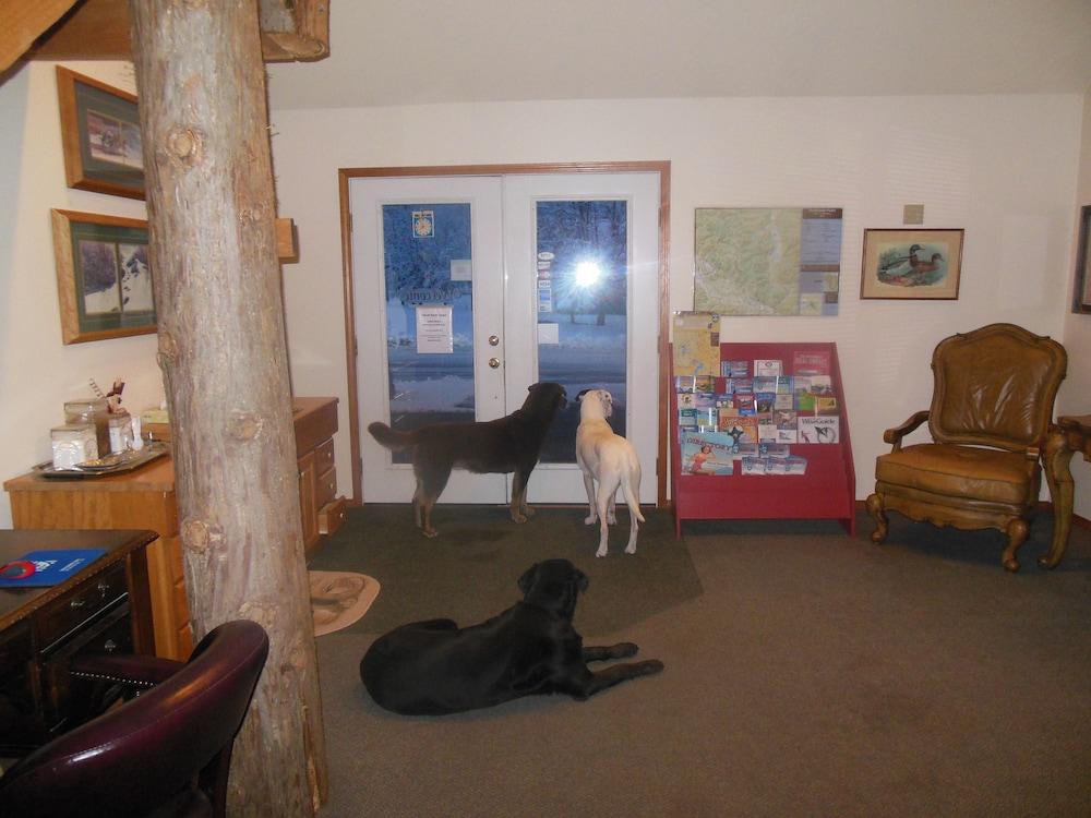 Clark Fork Lodge Esterno foto